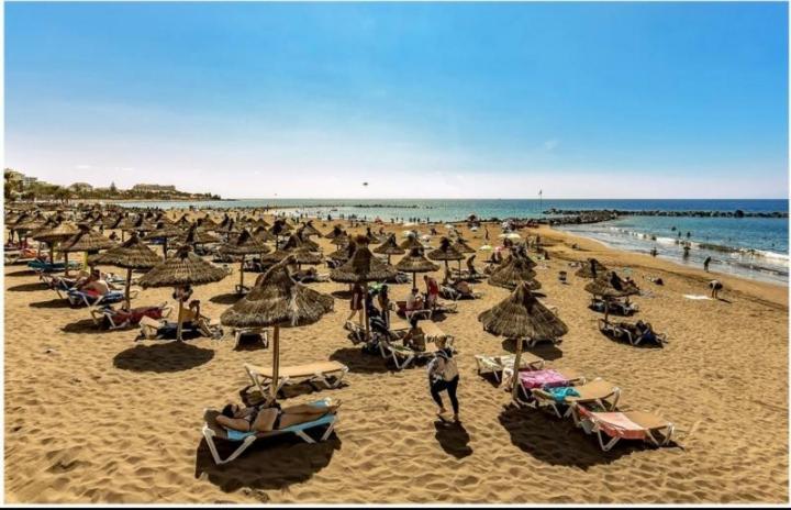 Amazing 3 Bedroom Apartment On The First Line Of The Best Las Americas Beach, Air Conditioner And Terrace Ocean View Playa de las Americas  Eksteriør bilde